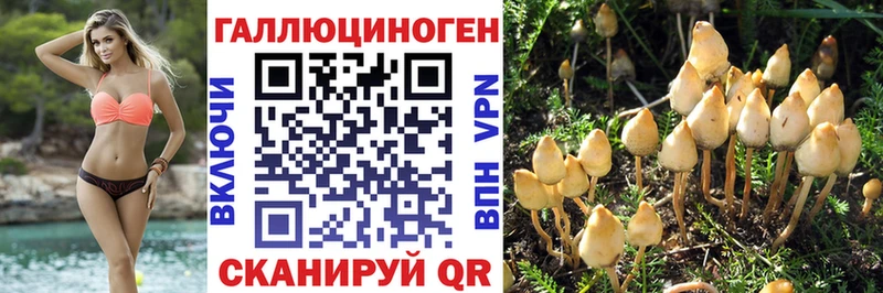 Псилоцибиновые грибы MAGIC MUSHROOMS  Анапа 